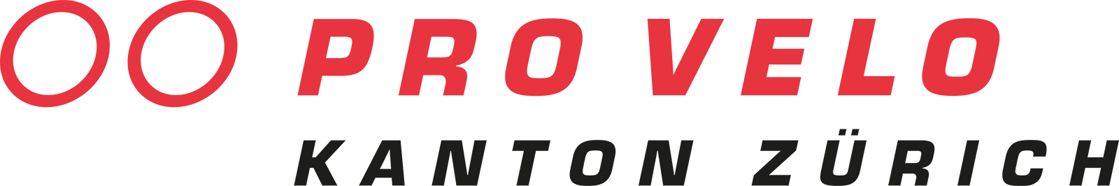 Pro Velo Kanton Zürich